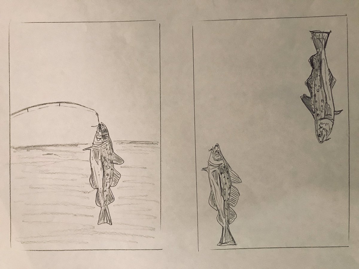 JenniferYVerma's tweet photo. Line drawings of #northerncod are totally sustainable... #exploreNL #fishing #artistsontwitter https://t.co/Hn0rcsysGZ