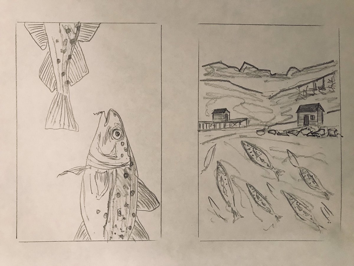 JenniferYVerma's tweet photo. Line drawings of #northerncod are totally sustainable... #exploreNL #fishing #artistsontwitter https://t.co/Hn0rcsysGZ
