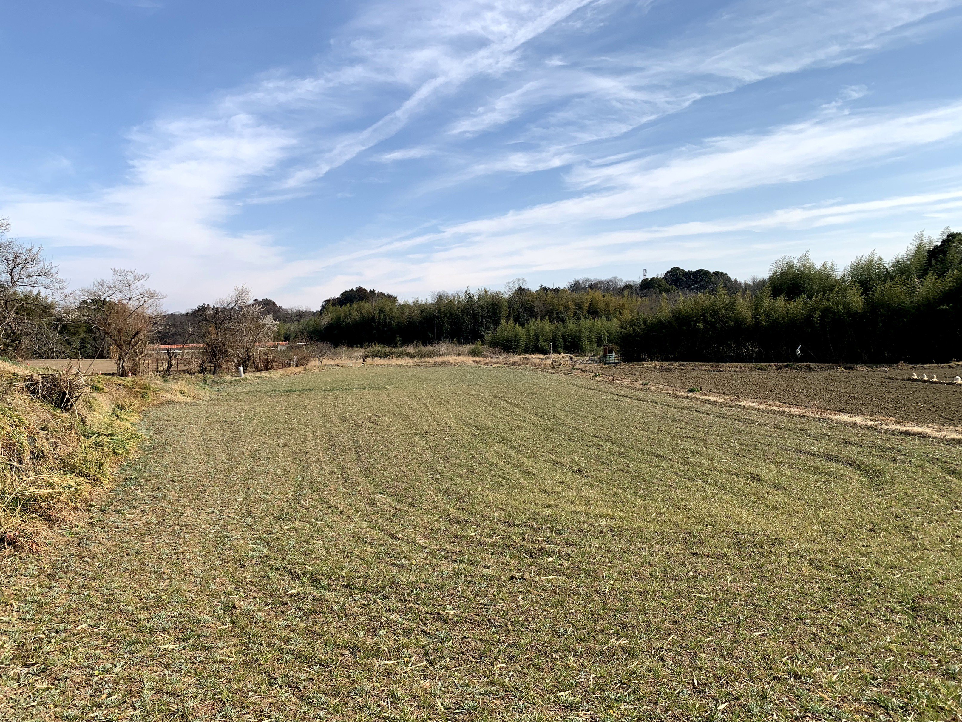嵐山町社会福祉協議会 今週は地元中学校の生徒さんと昔の遊び交流会があります 老人クラブの会員様のご自宅で紙鉄砲をつくりました 竹を切るところから 全て手作りです ですが慣れない作業で筋肉痛になってしまいました ﾅｻｹﾅｲ T