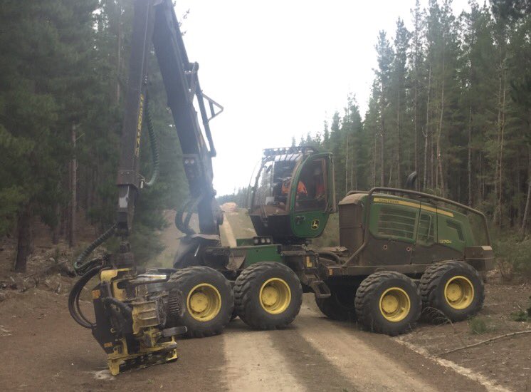 Rishi Deep tweet media