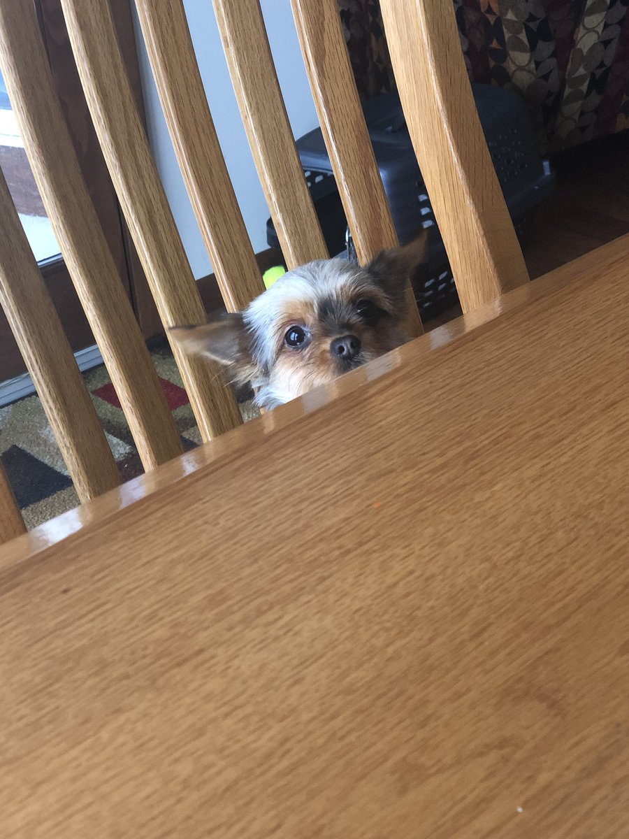 justin_tickle's tweet photo. Sitting at the dinner table and your mom starts talking about grades https://t.co/wXvGOneLBm