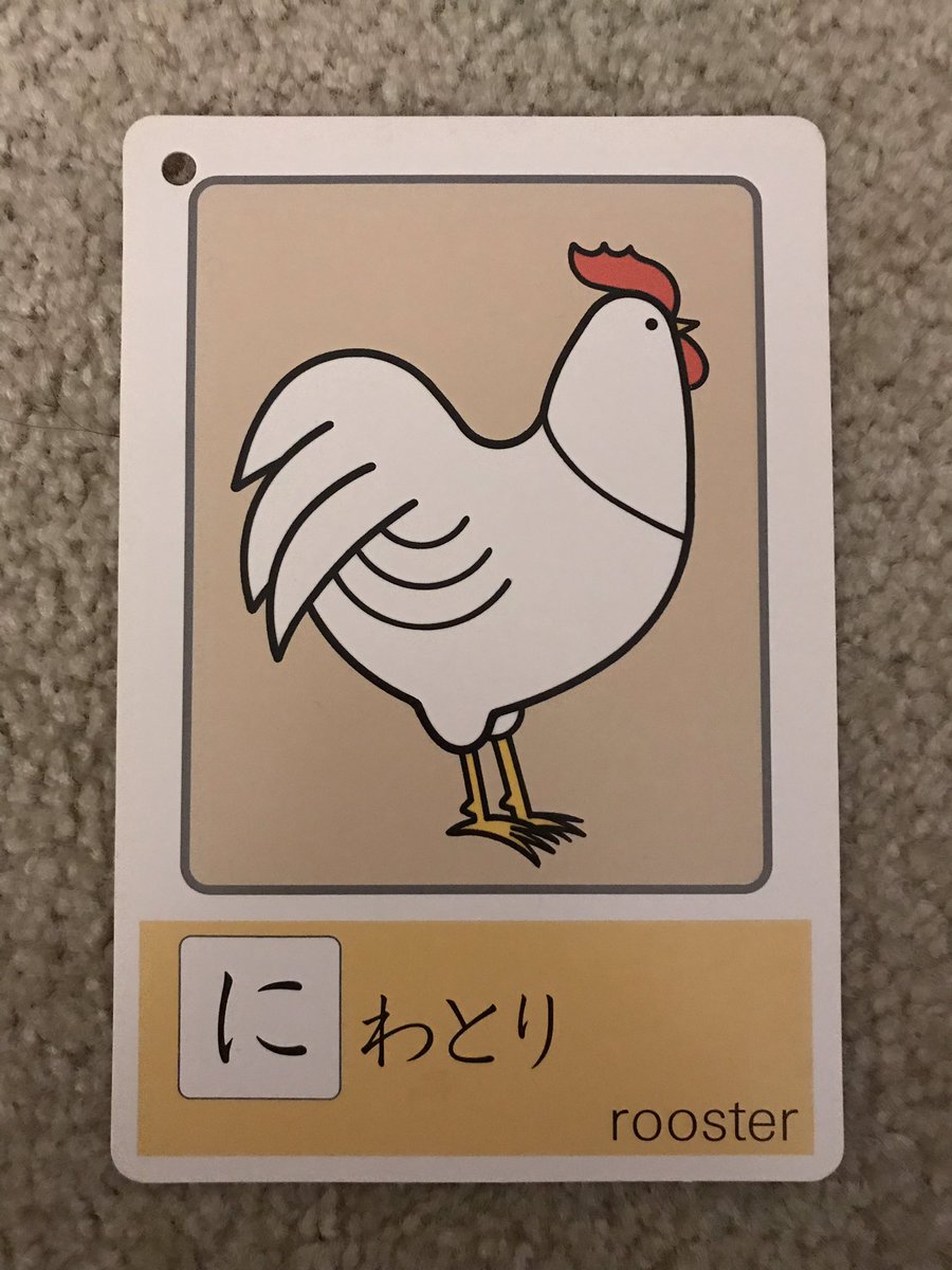 あみお 6ft 教えて日本語教育 幼児向けのこういうフラッシュカードで ひらがなand Orカタカナ 濁音 半濁音 拗音 印刷可能なデータor印刷済みカード を探しています どなたかご存知でしょうか 教えてくださいませ