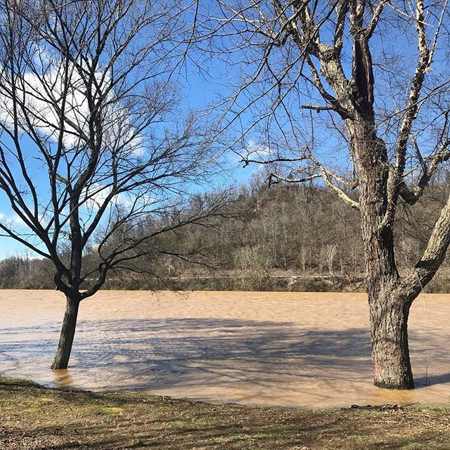 shesgotknoxy's tweet photo. The river isn’t very pretty, but check out that blue sky! So glad the sun is back! ☀️
#knoxville #knoxify #knoxrocks #getoutsidetn #scruffycity #sokno #knoxvilleweekend #knoxvillelife #igknoxville #southknoxville #southknoxrocks #knoxwx #tennesseeriver #… https://t.co/LWkjA4VDsf https://t.co/aIdDqPoJx8