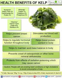 K_Naturopath's tweet image. #SeaVegetables 

Did you know? They offer the broadest range of minerals of any food,  containing virtually all the minerals found in the ocean-the same  minerals that are found in human blood. Sea vegetables are an excellent source of calcium, iodine.
facebook.com/kaylathenurtur…