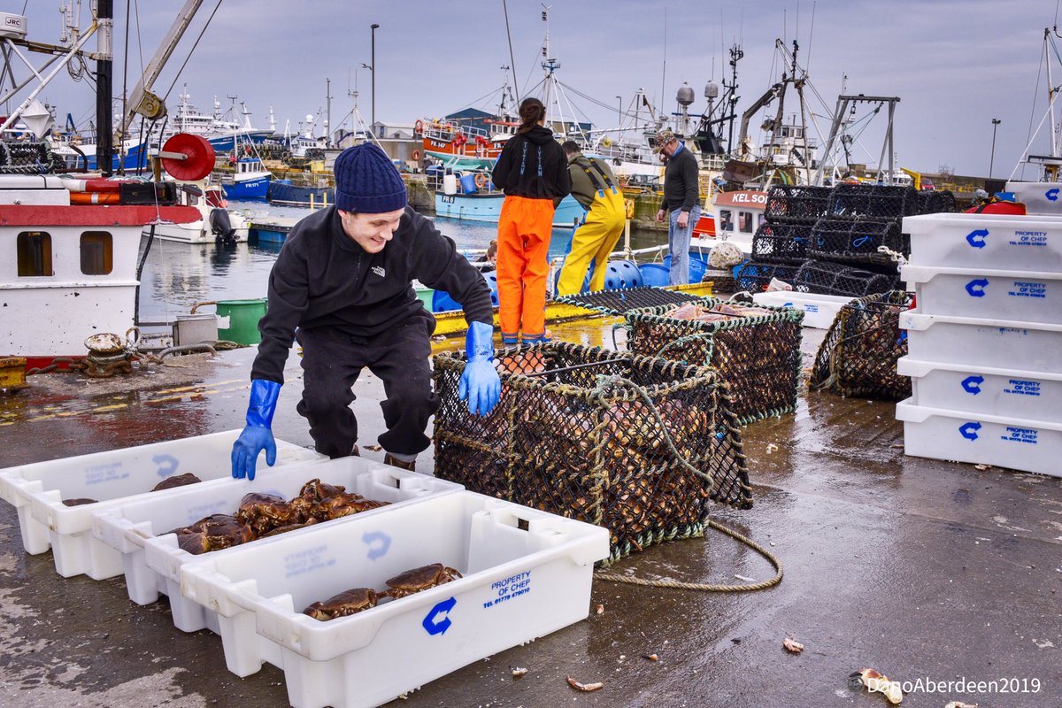 DanoAberdeen's tweet photo. A wee visit to Fraserburgh Harbour inspired by BBC programme Fish Town, posting a few of the shots I took on Sat .
#danoaberdeen #fraserburgh #trawlers #fishing #thebrooch #fisherman #Aberdeenshire https://t.co/lyXLpeGaRy