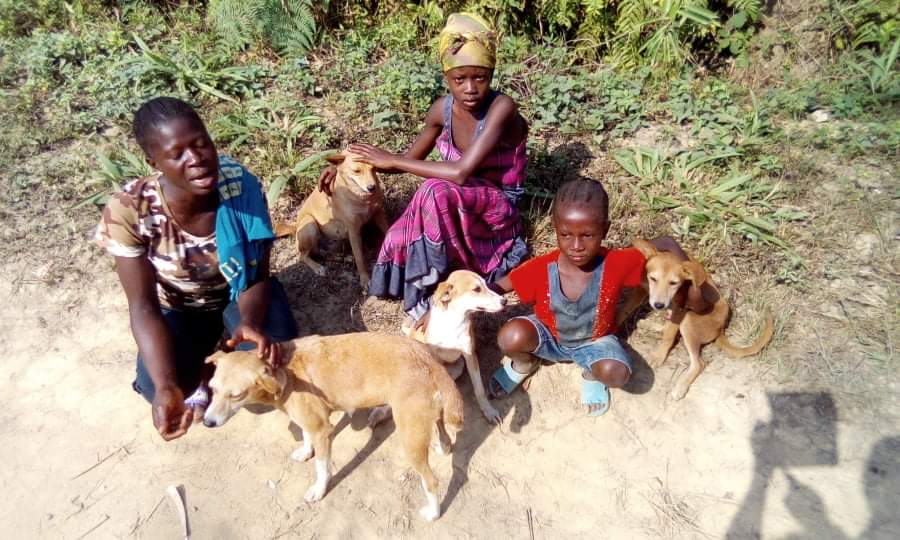 LiberiaAnimal's tweet photo. People normally called us, the #ANIMALPEOPLE because we inspire an entire community to become #AnimalLovers by engaging #SchoolChildren, #Teachers #CommunityPeople and provide free #Healthcare and #Treatments for #Animals. At LAWCS, we say #AnimalProtection is everybody business https://t.co/xcP0vjCjj9