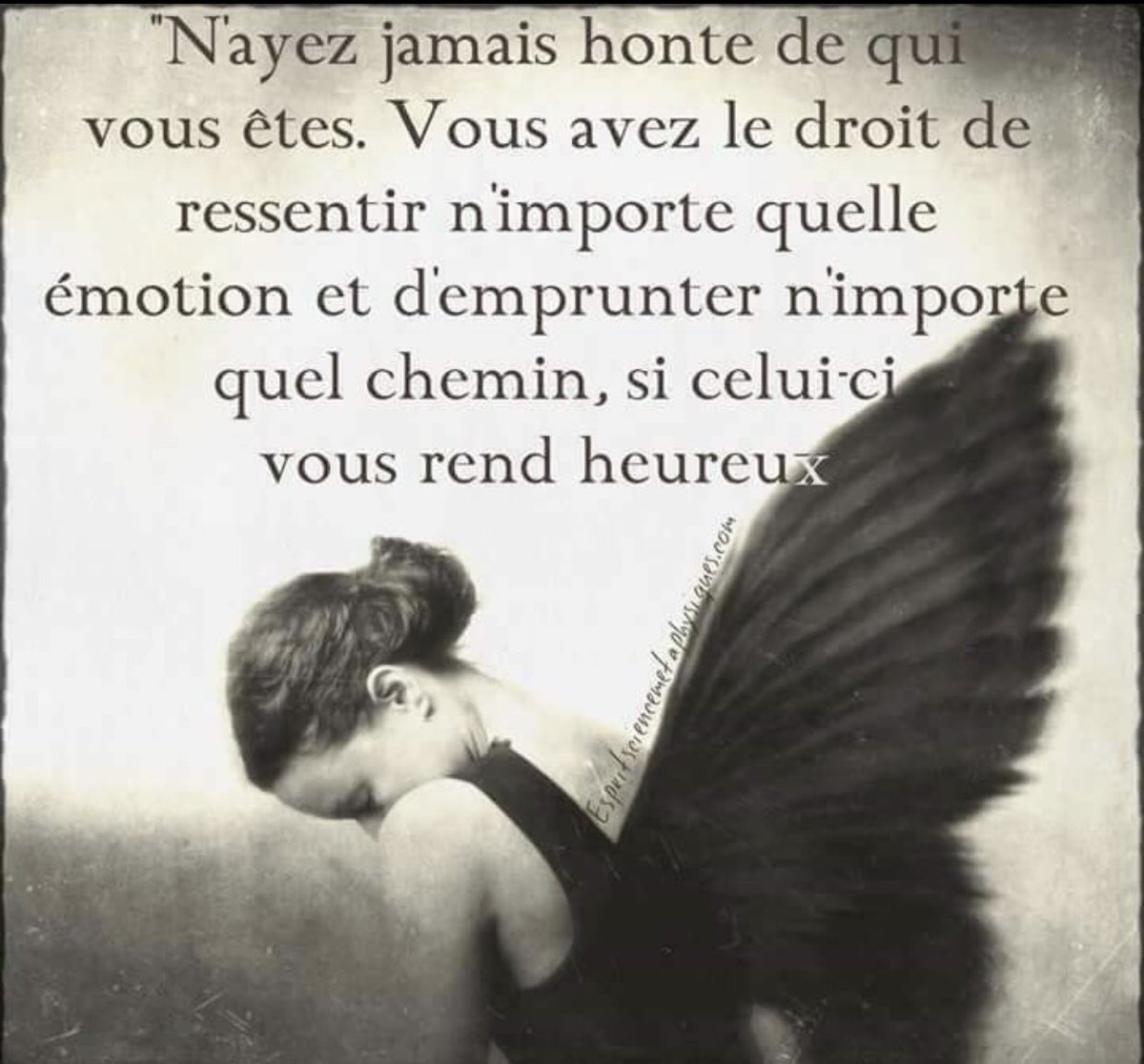 Jihane Cambon Bonne Journee A Tous Fierte Sentiments Citation Emotions Chemindevie Vie Avancer Jihane Cambon Bonne Journee A Tous Fierte Sentiments Citation Emotions Chemindevie Vie Avancer