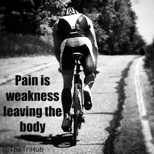 BullDutch's tweet image. #NieuweProfielfoto