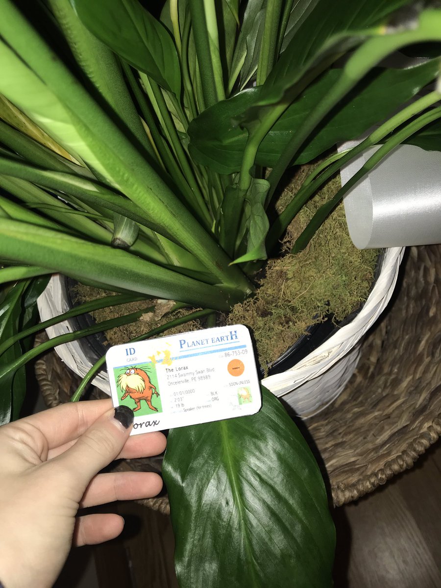 Lauren Schwartz tweet media
