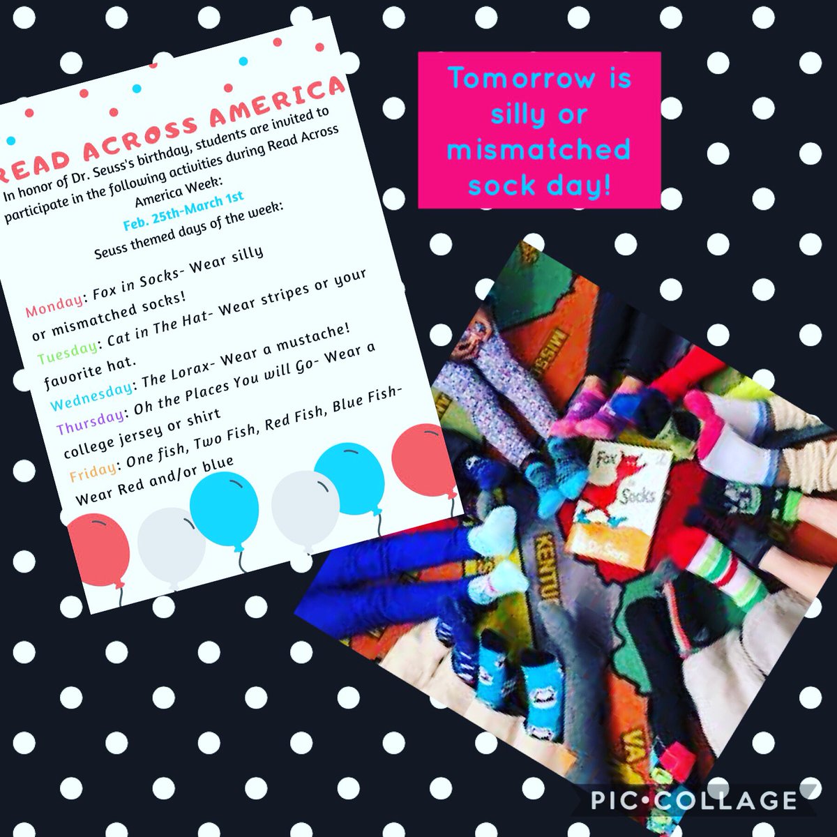 ThreeCreeksK8's tweet photo. Celebrating #readacrossamericaweek &amp; #drseussbirthday @threecreeksk8 Spirit Day for Mon.Feb 25th:Fox in Socks-Wear silly or mismatched socks! #3ccougars #welovetoread #growingreadersandwriters @drseuss @jeffcoschoolsco #whatsyourfavoritedrseussbook #sillysockday #schoolspiritday https://t.co/aVfs3rM3QM