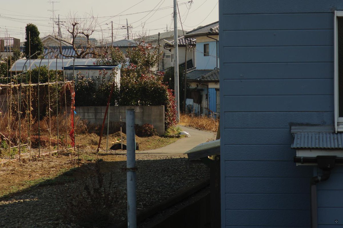 yokozawa tweet media