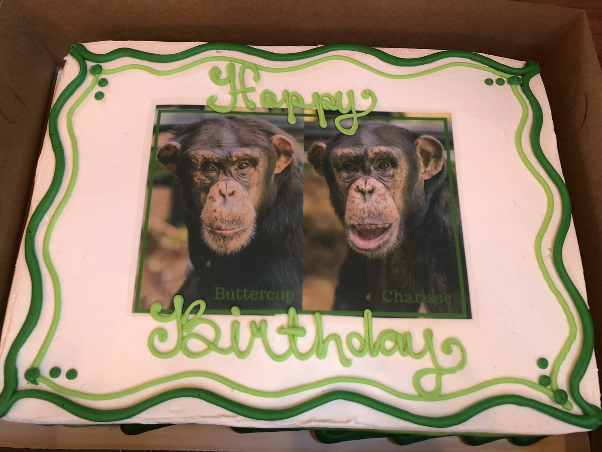 mountaincanine1's tweet photo. @projectchimps We celebrated #ButtercupChimp #CharisseChimp today at Paradise Hills Winery! Check out the delicious Riserva dedicated to the twins. π· https://t.co/9mM0sORcBF