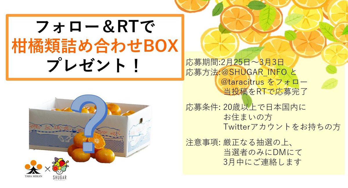 SHUGAR_INFO's tweet photo. 【フォロー&amp;RTで #プレゼント】
抽選で5名様に佐賀県太良町で育った「柑橘類詰め合わせBOX（5kg）」をプレゼント♪
@SHUGAR_INFO と @taracitrus  をフォロー、当投稿をRTで応募◎
応募期間：2月25日(月) 〜3月3日（日）23:59
※未成年者は応募不可
#懸賞  #たらみかん #シュガーマーケット https://t.co/ndvZOekZyp