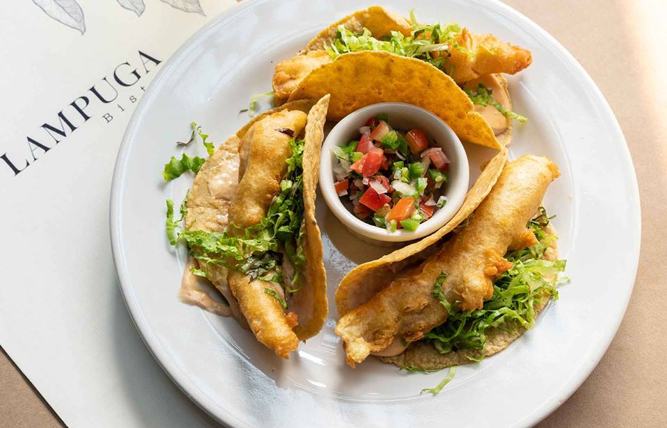 ¡Provecho! 
<a href="/LampugaMX/">Lampuga</a>