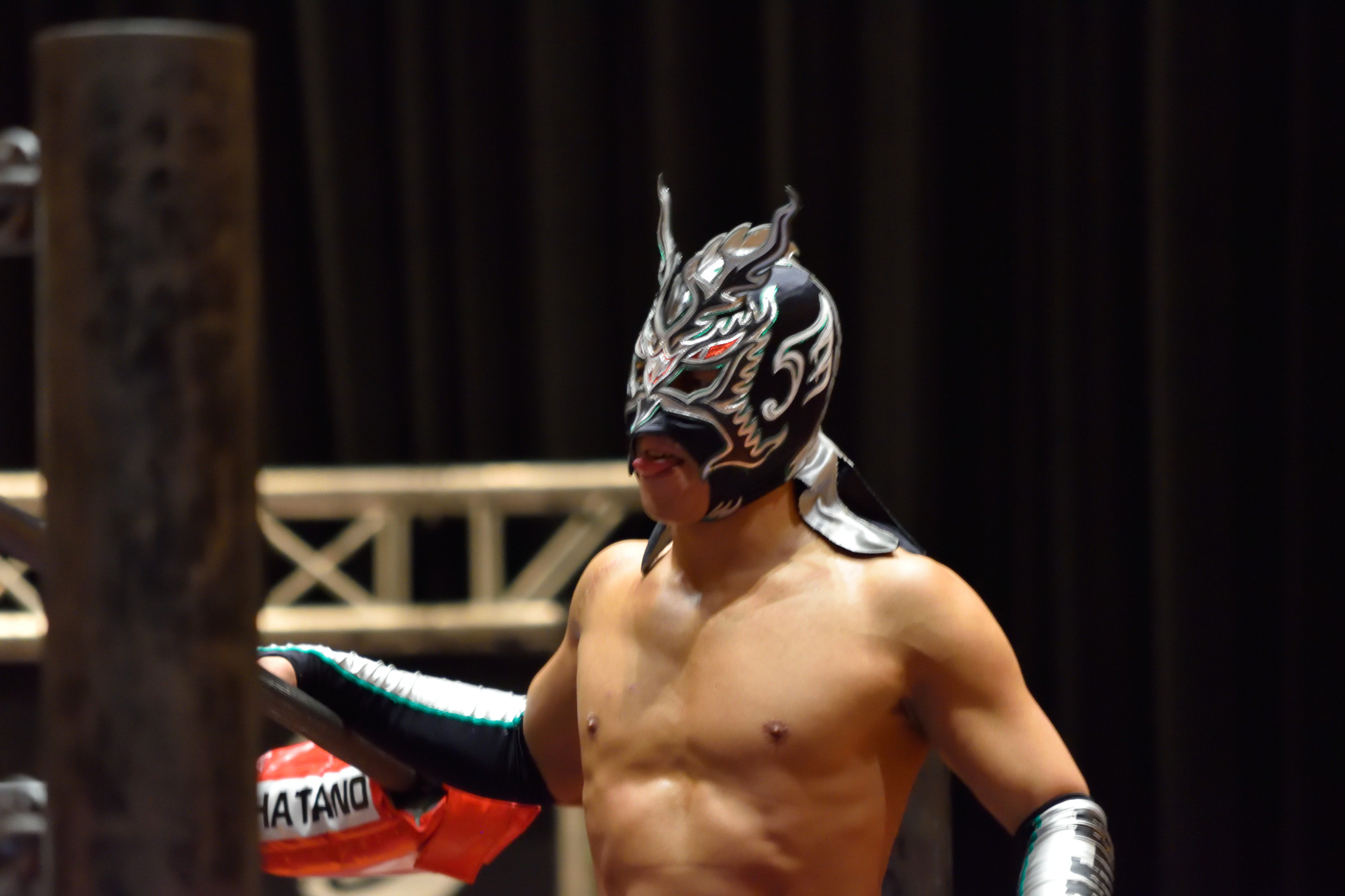 ドラゴンゲートプロレスリング - البحث / X