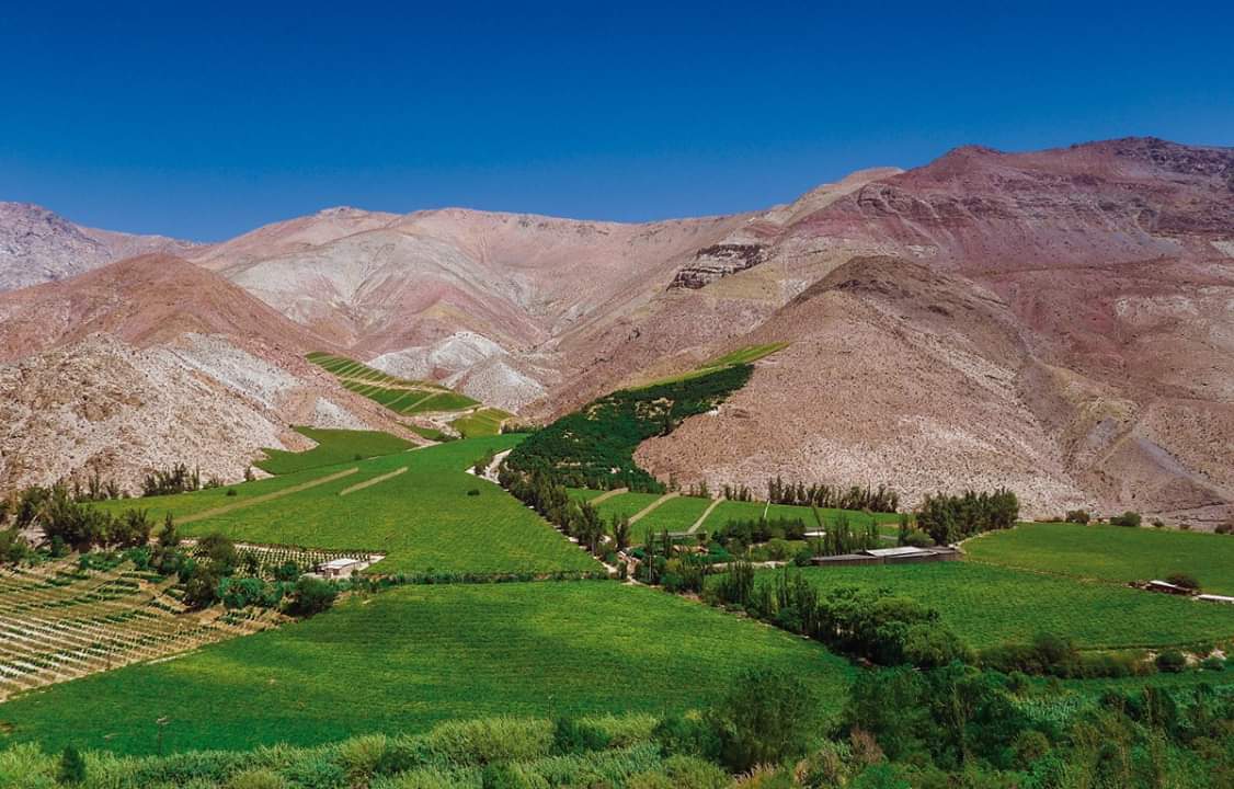 TurismoEnChile's tweet photo. 🍃Si buscas aventura, buenos vinos, tiempo de relajo y desconexión total, #ValleDelElqui es tu lugar 🍃 #TurismoEnChile 🇨🇱 https://t.co/V5bosoJwVX