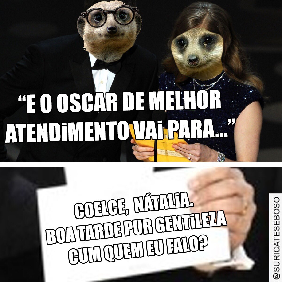SuricateSeboso's tweet photo. Diretamente do Ceará para academia de Cinema do Oscar!!! #Oscars2019 #Oscar #SuricateSeboso https://t.co/VXeGZnIAff