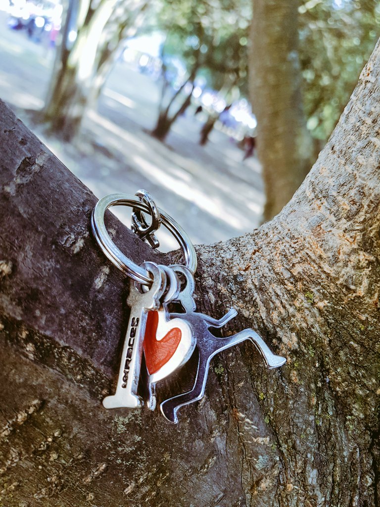 _kotufita_'s tweet photo. I ❤️ Run 🤘😎🏃♀️
#PeaceLoveRun #ILoveRun2019 #10k #Global10k #SundayRunday #Runderful #AquiYaSeCorrio #SoyCorredora https://t.co/1fWw0Sltsf