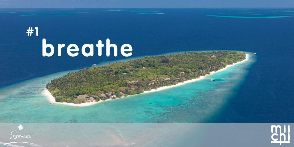 mii_chi_si's tweet photo. Breathing in the wonderful Maldivian air on the beautiful island of @SonevaFushi Day 1 of a month of mii-chi workshops on Soneva Fushi and Soneva Jani #discoversoneva #experiencesoneva #microchanges #macrochange https://t.co/CaXzb4Nojr