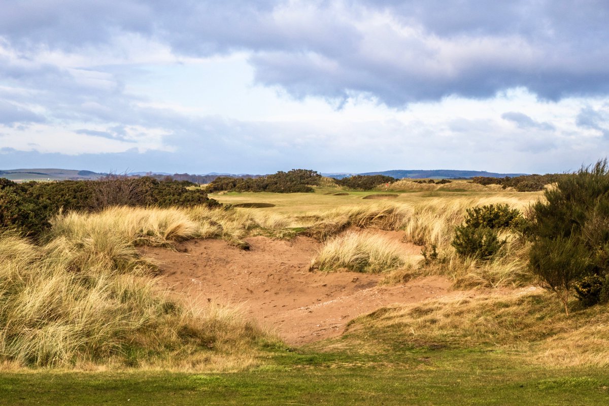 The par 4 11th on the New Course at St Andrews. These open sandy areas on the New are part of a program of managing old woody gorse. It's improved the vistas, playability and diversity of habitats. Some areas are also being rejuvenated by encouraging new gorse growth.