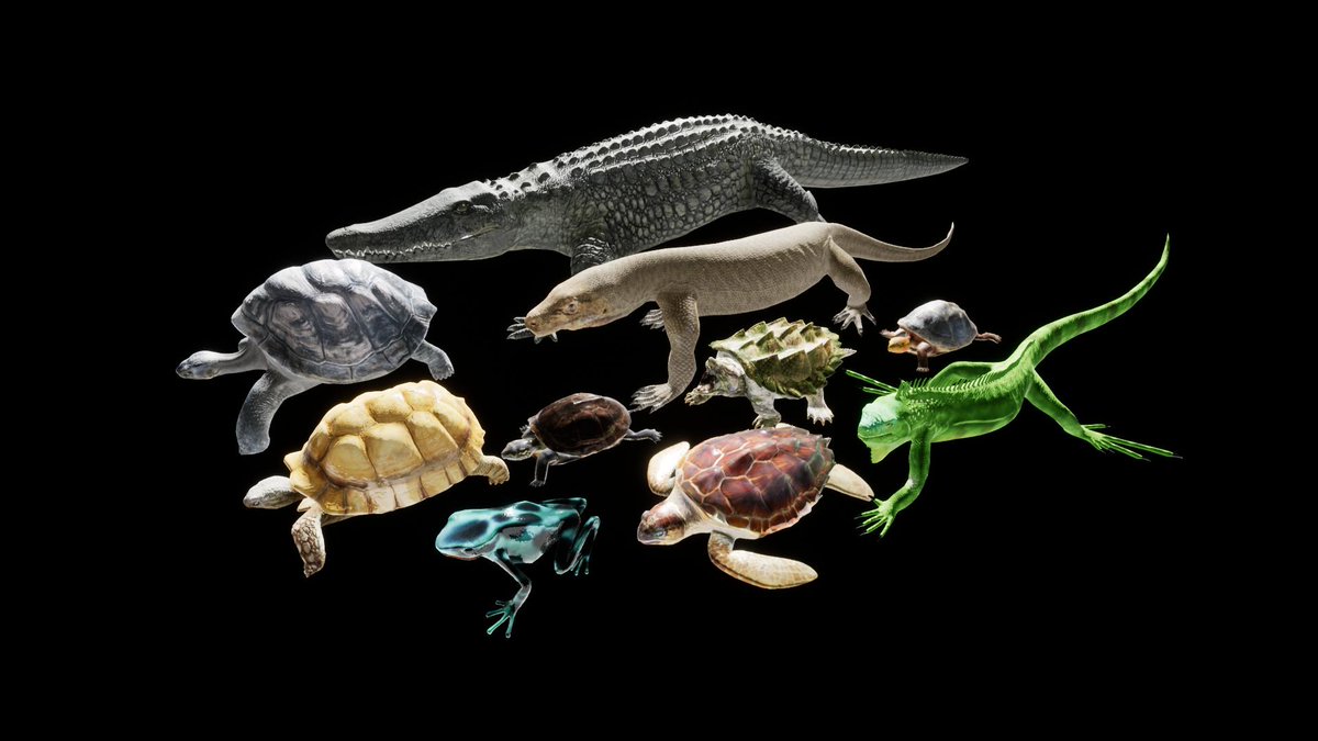 UnrealAssets's tweet photo. Reptiles and Amphibians pack by Junnichi Suko for €47.19 - https://t.co/ZTBUTeYNfK https://t.co/MGCfTkZX2b