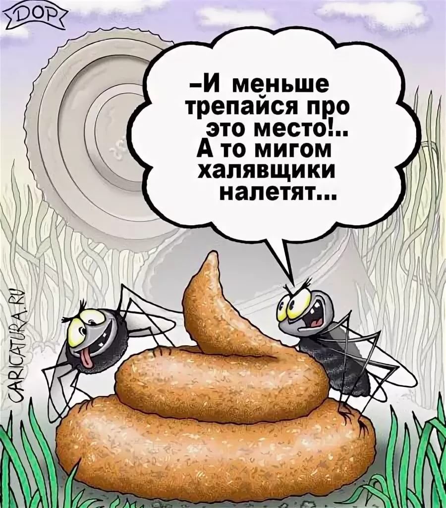 Свадебные, приколы про какашку картинки