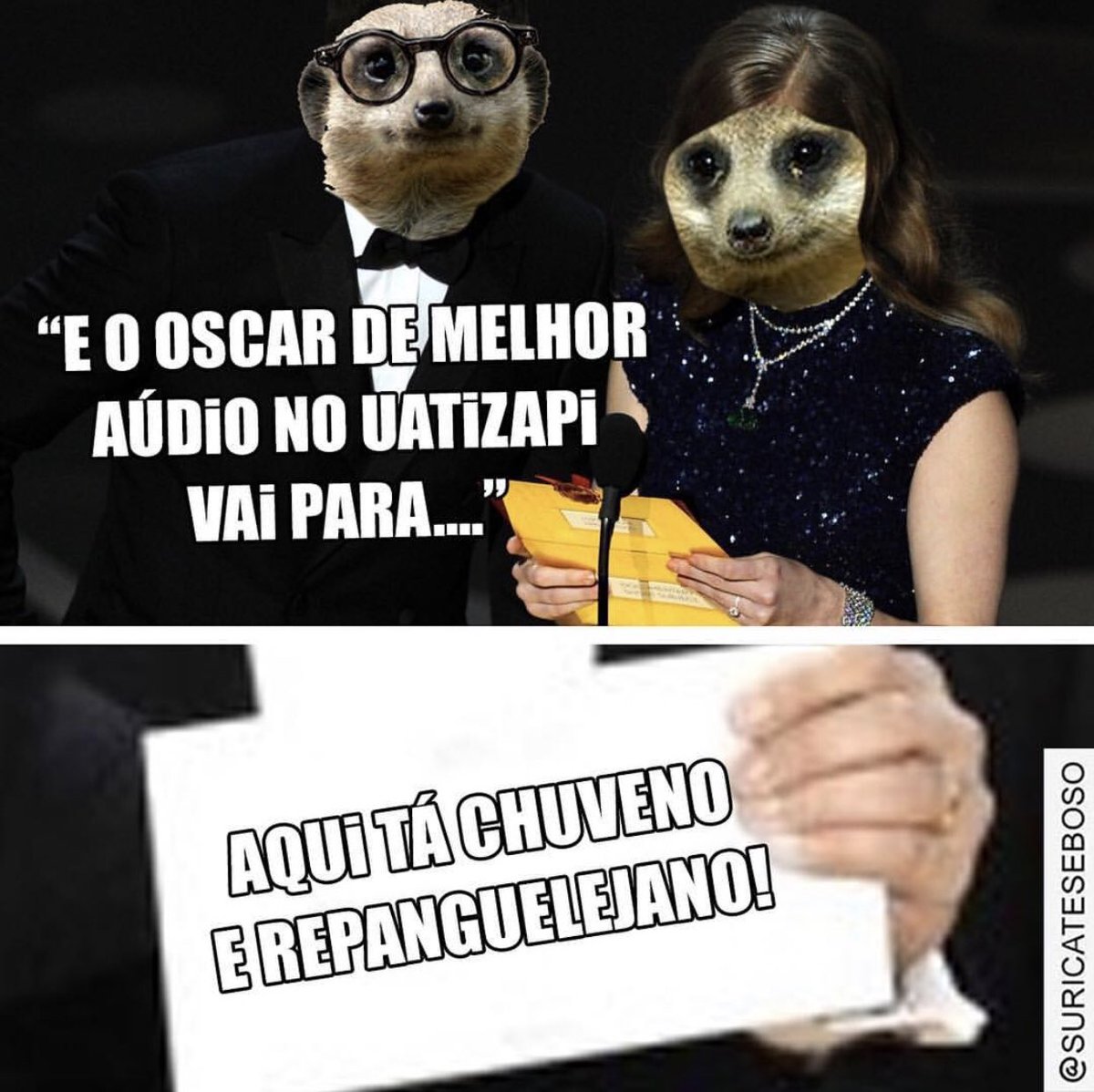 SuricateSeboso's tweet photo. MERECIDO!!! O MELHOR DE TODOS OS ÁUDIOS DE WHATSAPP!!!

#Oscar2019 #Oscar #SuricateSeboso https://t.co/LtrwvfEgcL