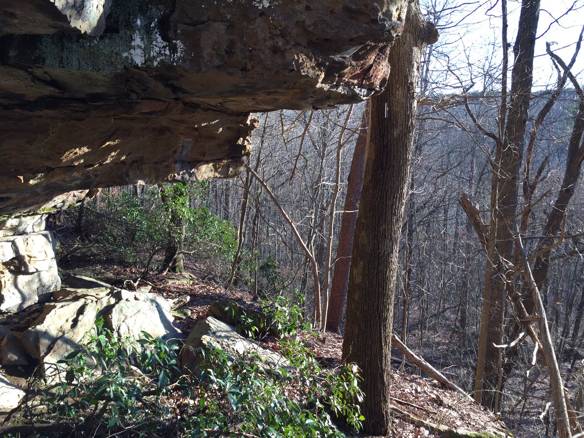 krisfrombama_xx's tweet photo. These were some of our #views from this 1st #rainfree day today as we took advantage & checked #trailcams & put out some #minerals. These boulders have a #deertrail worn straight thru it! ๐ & the others were just neat! ๐ #ParamountOutdoors #AlwaysOutside #EHGTribe #deerhunting https://t.co/AzGWvlOcrs
