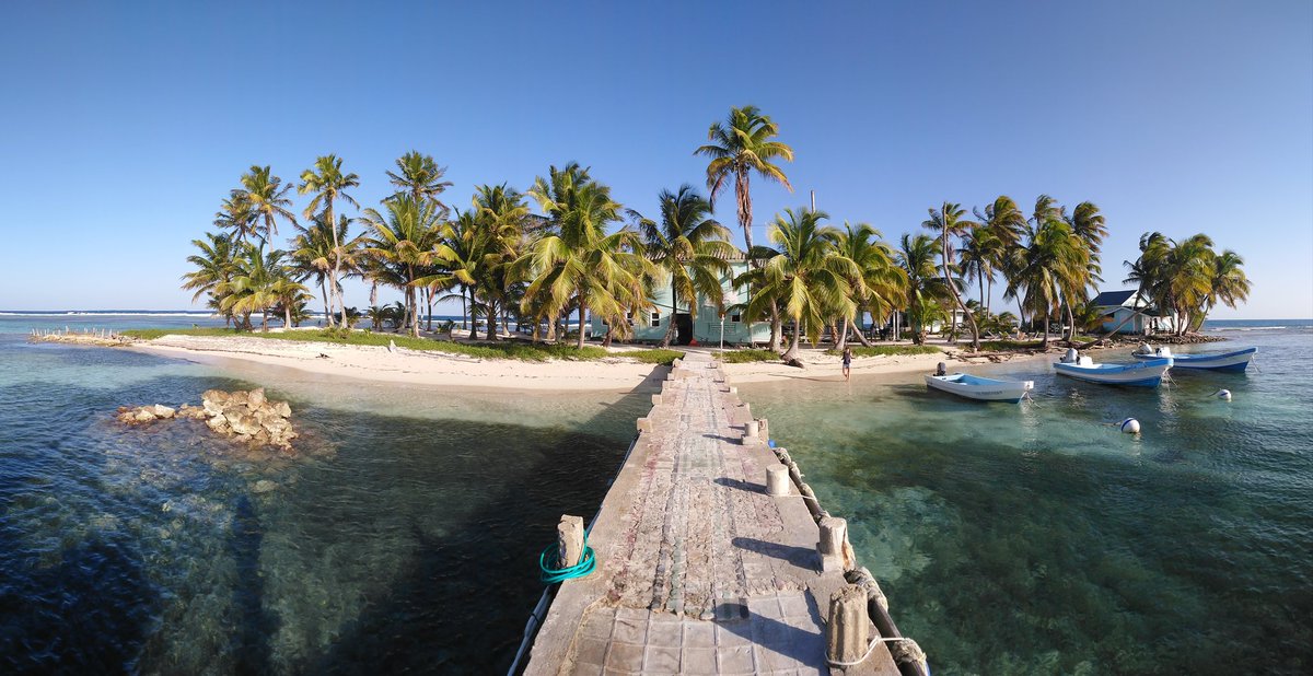FScharhauser's tweet photo. This is the #CarrieBowCay Fieldstation, located on a small island at the #Belize Barrier Reef. A minimum of 11 different genera of #stilbonematine nematodes and also the lab with the best view in the world can be found here.π #marine #nematodes #thiotrophic #symbiosis #phylogeny https://t.co/ltikSpU1Sa