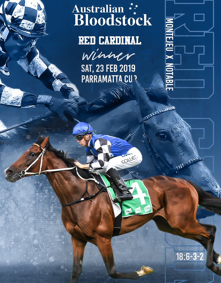 PocketSportsAus's tweet photo. @Austbloodstock RED CARDINAL - superb! @anz_news @tdn @Leesracing https://t.co/4BQ2r585D4