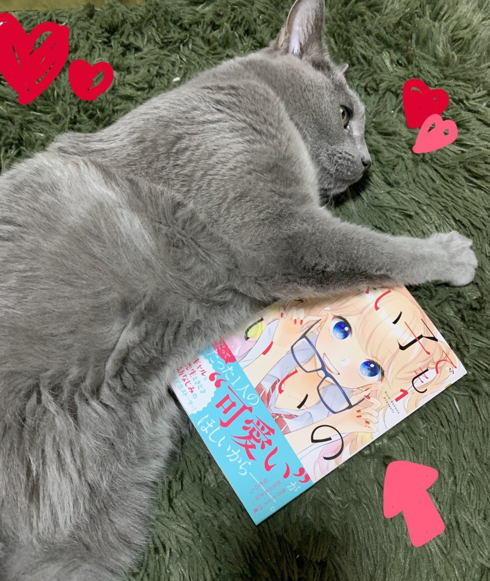 Twoucan 花野リサ Hnn Rs Twoucan 花野リサ Hnn Rs