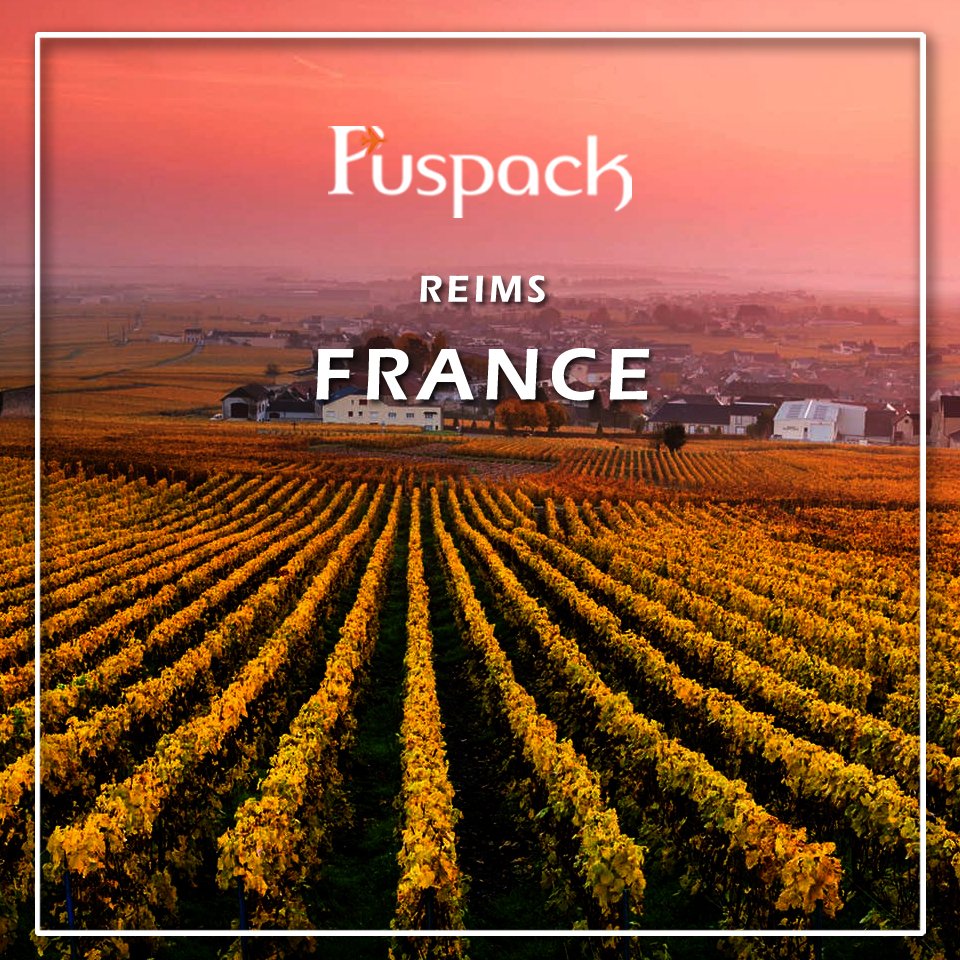 travelpuspack's tweet photo. #Reims is a city in northeastern France's Grand Est region. It's the unofficial capital of the #Champagne wine-growing region. For more than 1,000 years, #French_kings were crowned at its #Cathédrale_Notre_Dame_de_Reims.

#Puspack, #Travel_with_me, #France. https://t.co/3v81X3KoxX