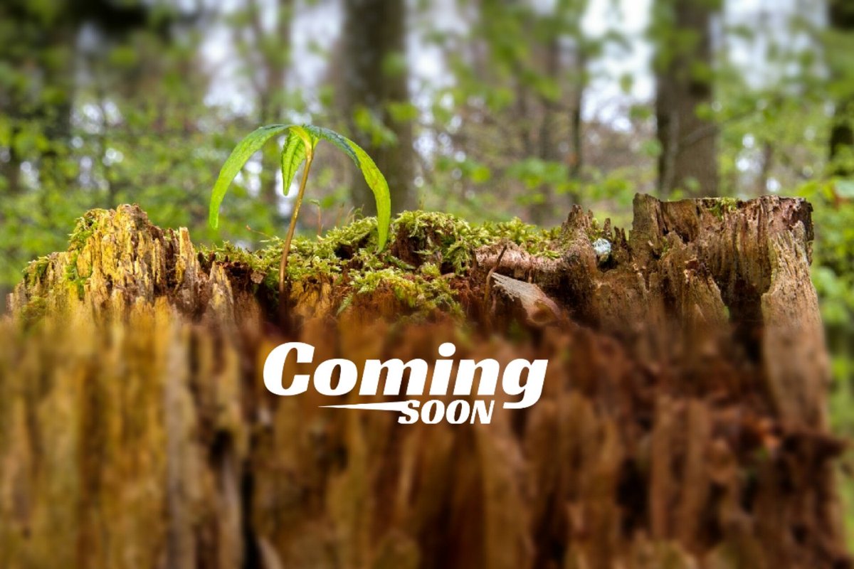 OfficeKugler's tweet photo. Sti(e)lreich - N E W S ! Endlich wird es Wirklichkeit.
Wir eröffnen unseren ersten Concept Store in Wien. 
Wir freuen uns schon sehr auf diesen weiteren Weg 
und neuen Be"TRIEB" 🌱. Seid gespannt!
Wir halten euch auf dem Laufenden... - Martina #stielreichconceptstore https://t.co/Z9Sg4fkief