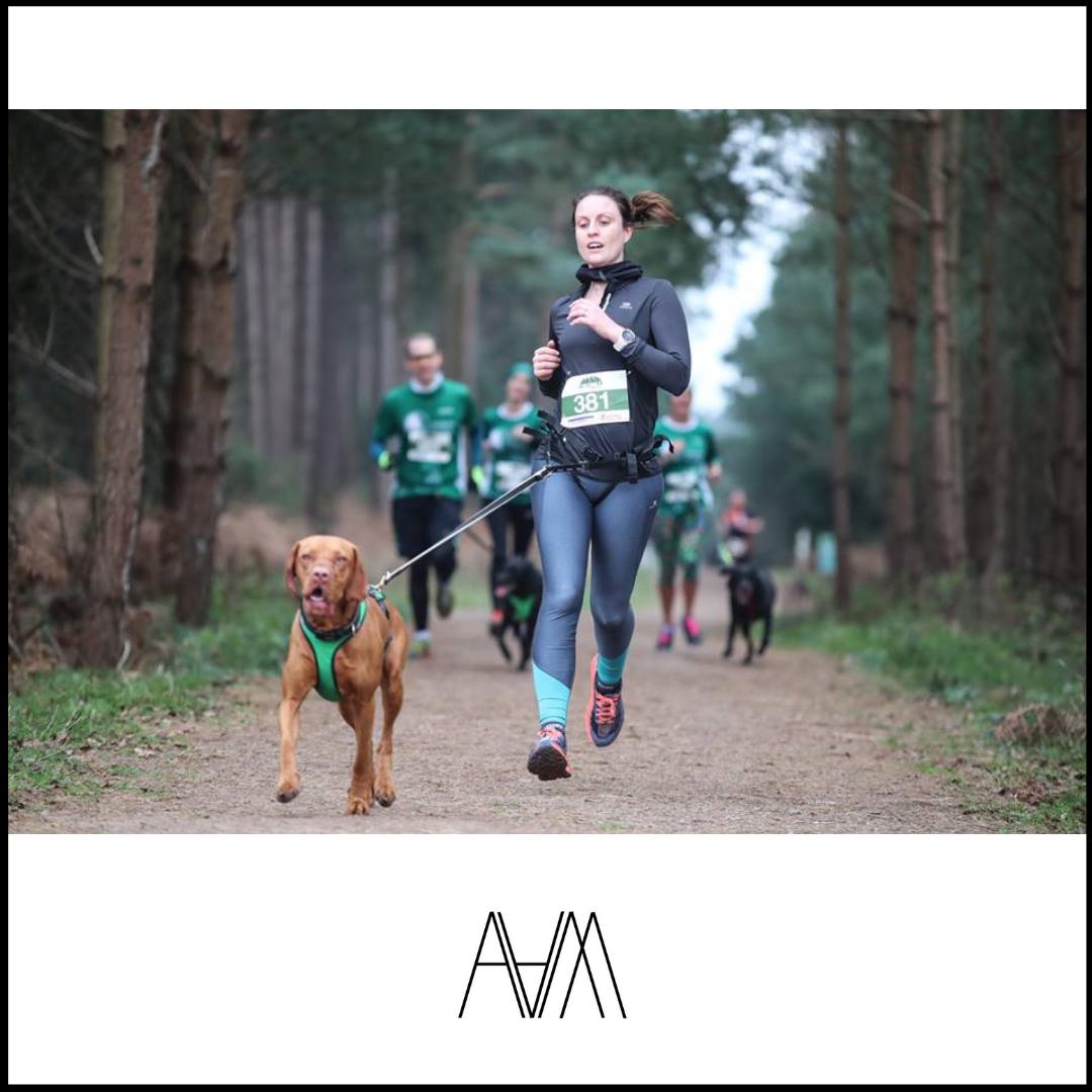 Are you looking for professional and CAA approved drone operators to capture your event? Get in touch today to find out more about our services! 

aboveairmedia.co.uk

#videography #pro #caa #coverage #event #wedding #conference