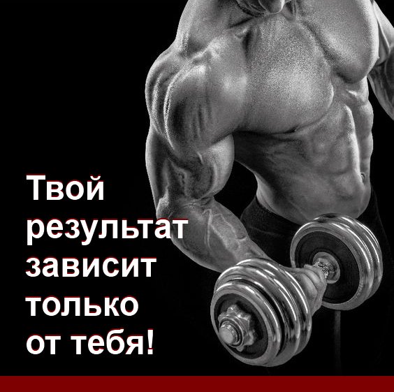 #воркаут #тренировки #тренажерка #бодибилдинг 
Производитель спортивных тренажеров newlife.in.ua/g5815780-silov…
