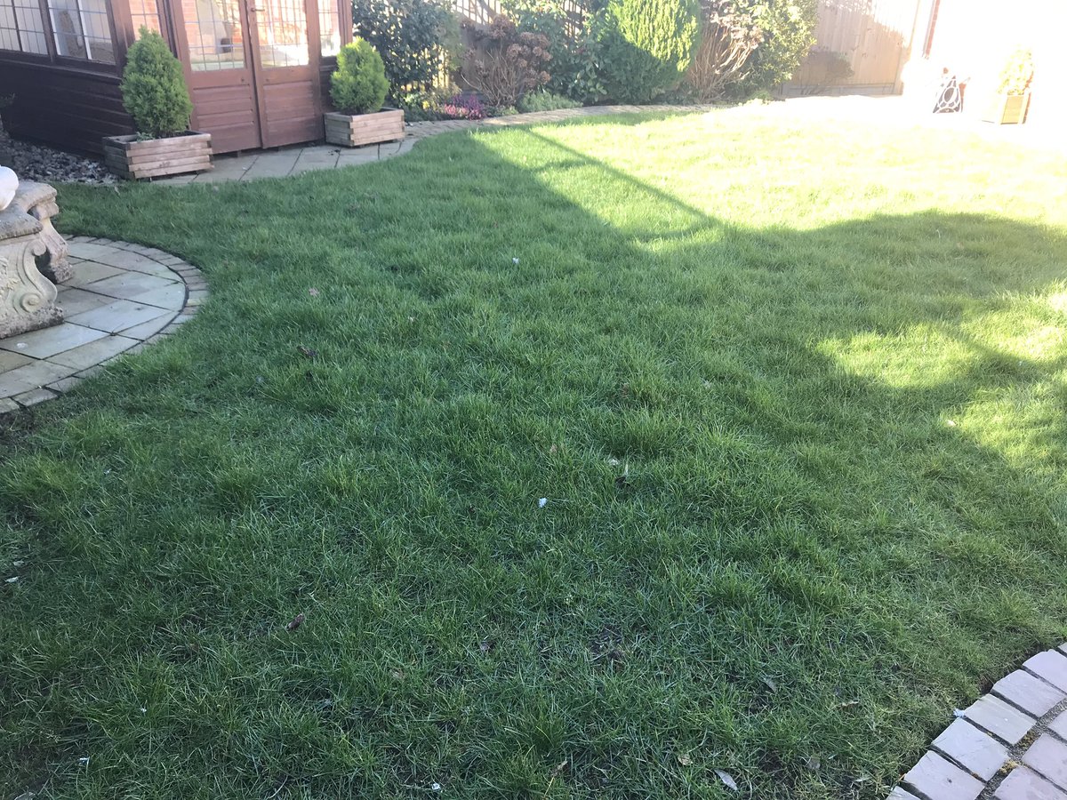 richGUNshow's tweet photo. First decent cut of the year! https://t.co/7oke3HGUtP