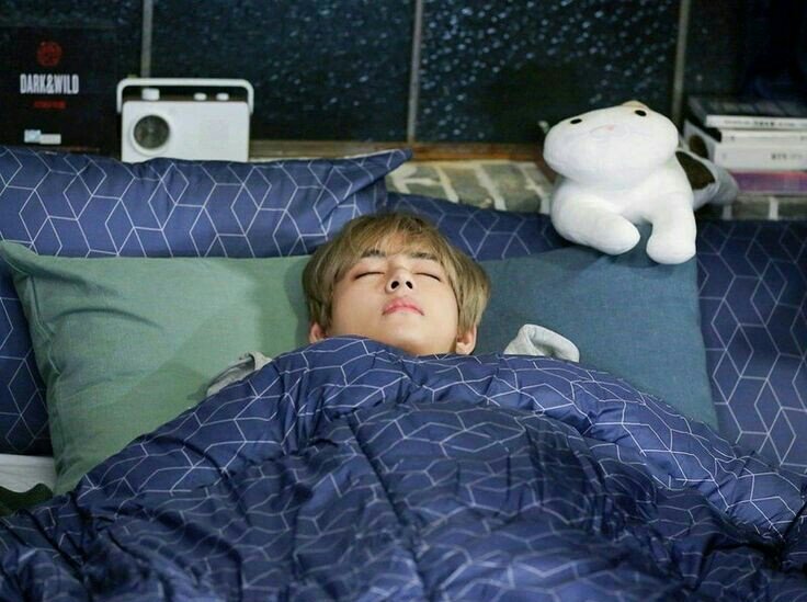 onlydayy's tweet photo. ตอนแรกไม่คิดว่าจีบมึงติดไอสัส คนเหี้ยไรจีบยากชิบหาย กวนตีนเก่งอีก ตอนแรกก็แค่อยากชนะมึง แต่ตอนนี้หลงชิบหายแล้วสัส รักมึงไอดื้อ❤ @ttartahh https://t.co/6oUnVAzxp5
