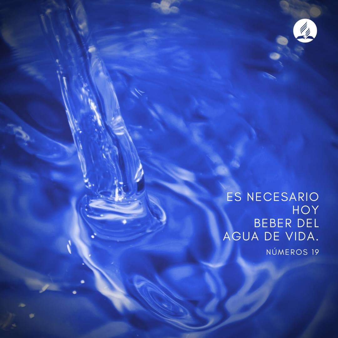 adventistasmchp's tweet photo. #Numeros19 El es el agua viva, “el pan de Dios... que descendió del cielo, y da vida al mundo.” (EGW - CC) #PrimeroDios #agua #limpia #cura

@abcastillor
@JuanCSandovalR https://t.co/NKrKxFhreq