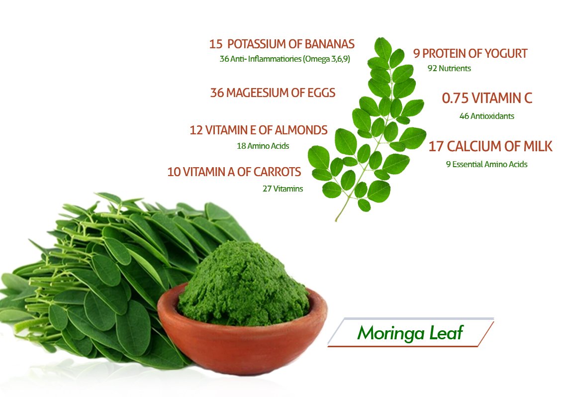 Day to day Health Benefits of Moringa the Multipurpose Tree.
#Health #healthfood #nutrition #Vitamin #vitaminD #healthsupplement #DailyHealthTips  #multivitamin #cholesterol #heartdisease #stroke.
origogen.com
For trade Enquiries or Franchise
Pls contact +91-9711443118