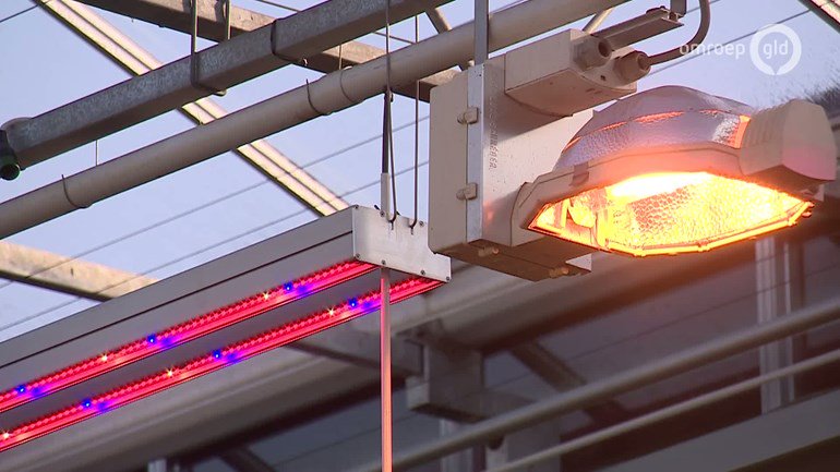 Er zijn grote zorgen over de capaciteit van het energienet in Gelderland. Tuinders en ook netbeheerder <a href="/LianderNL/">Liander</a> voorzien problemen. Meer aansluitingen en steeds meer groene stroom zorgen voor een overvol energienet. omroepgelderland.nl/nieuws/2399995…