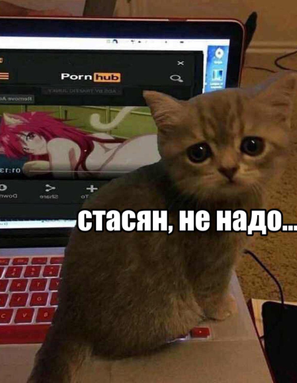D0P57ksXcAAXAiB?format=jpg&name=large