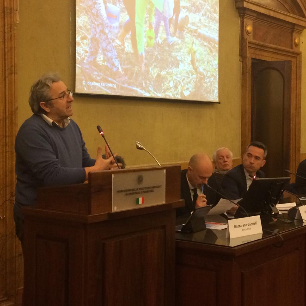 Al @Mipaaft_ oggi come #ecornaturasi parliamo di "Il giusto prezzo come base per una nuova visione economica" con <a href="/Legambiente/">Legambiente</a> <a href="/GOEL_Bio/">GOEL Bio</a> @bancaetica <a href="/SlowFoodItaly/">Slow Food Italia</a> e con <a href="/AlePesce_mipaaf/">Alessandra Pesce</a> #gentechecicrede #mountainsmatter