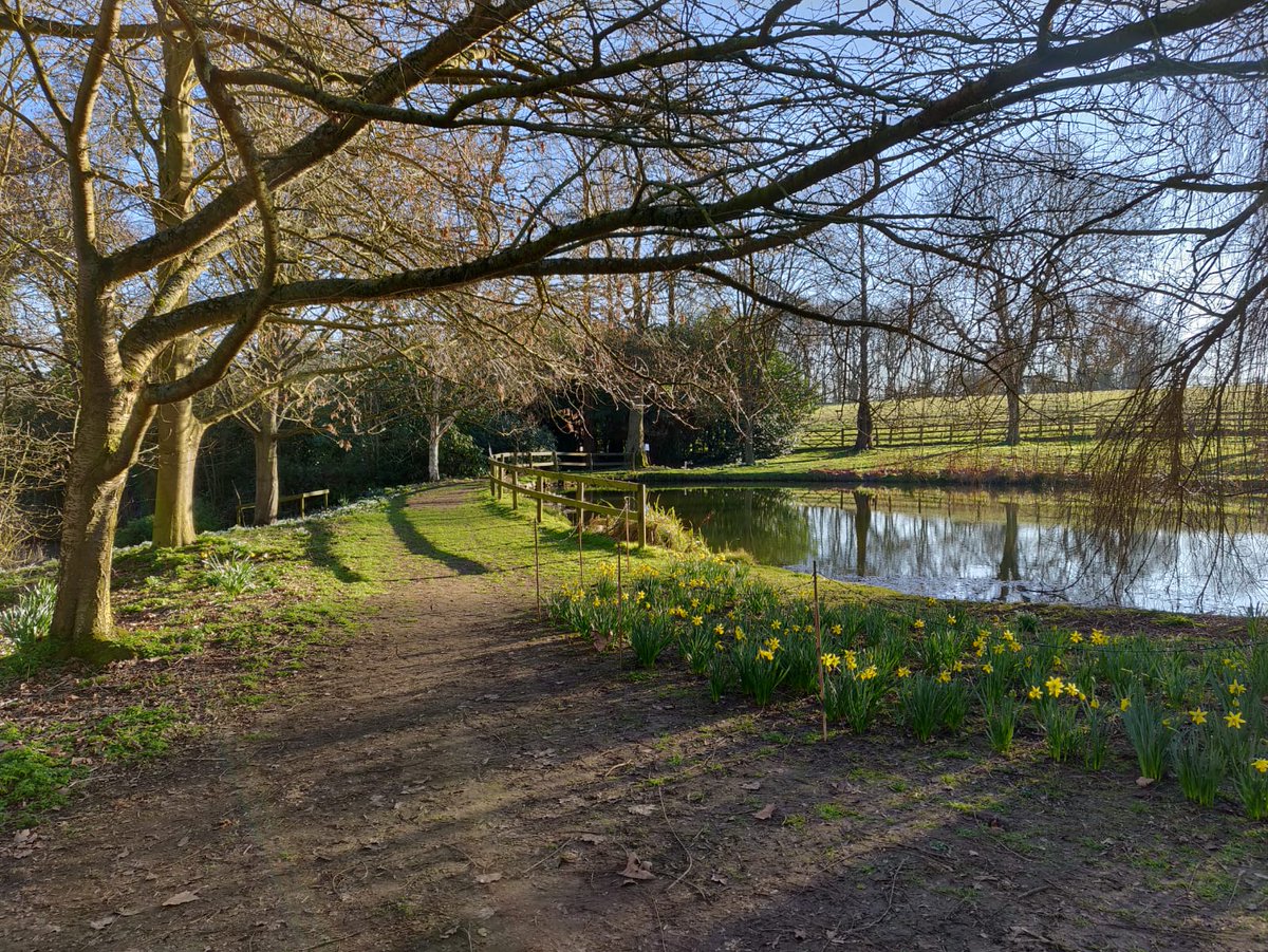 gardenoracle's tweet image. A wonderful afternoon at Horkesley Hall yesterday.