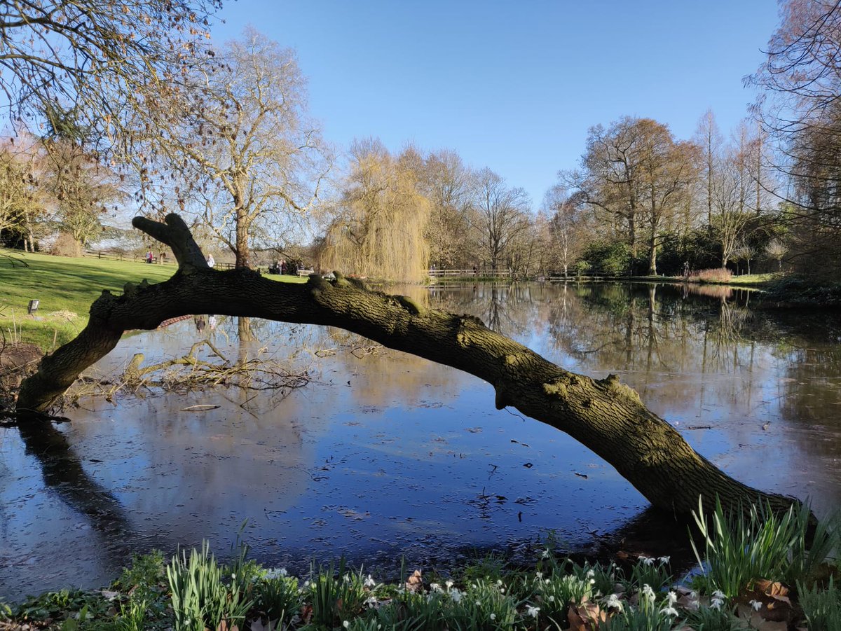 gardenoracle's tweet image. A wonderful afternoon at Horkesley Hall yesterday.