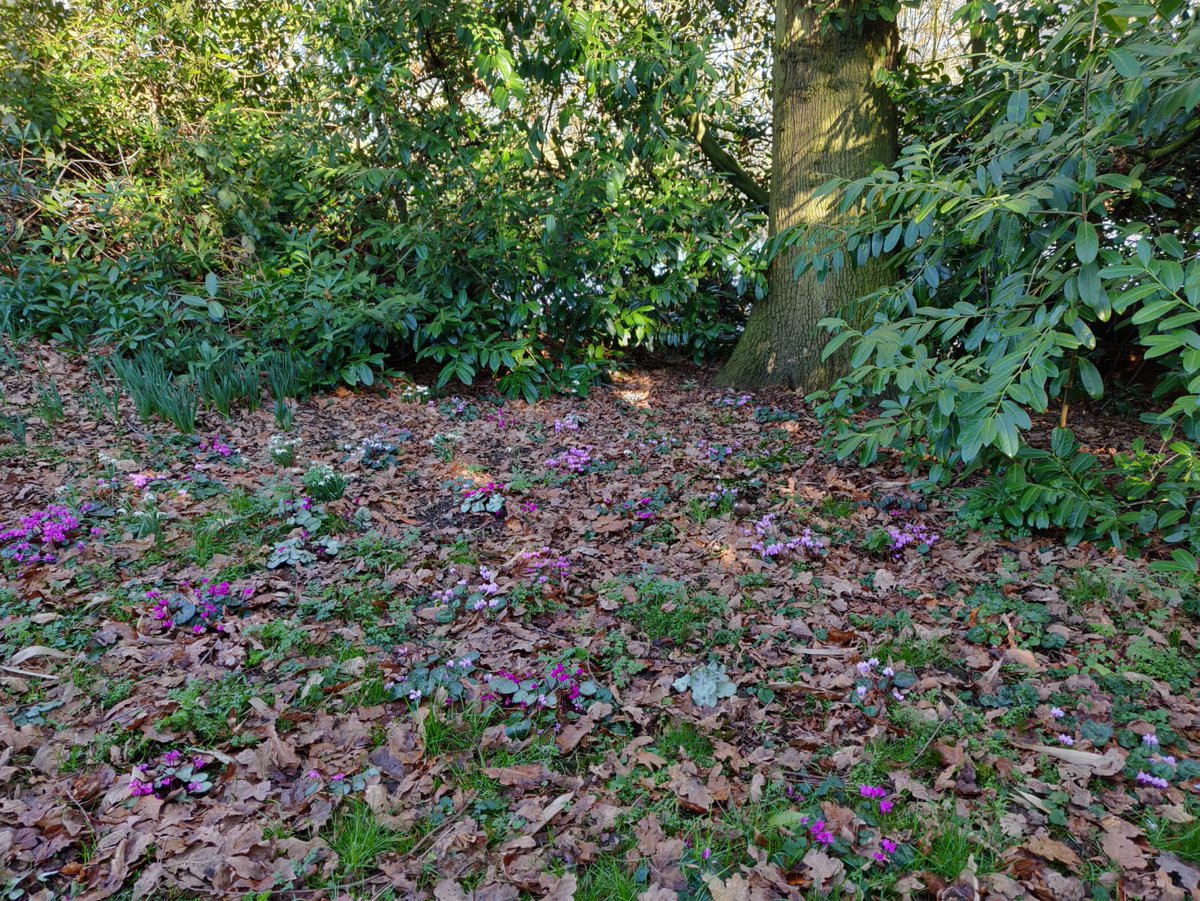 gardenoracle's tweet image. A wonderful afternoon at Horkesley Hall yesterday.