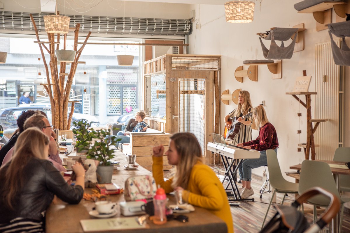 Bedankt voor de mooie zaterdagmiddag bij #PebblesKittyCatCafé met muziek van <a href="/Murielkloek/">Muriel Kloek</a> + tw/ce. We zien jullie graag terug bij één van onze andere events! #picapicawinterparade