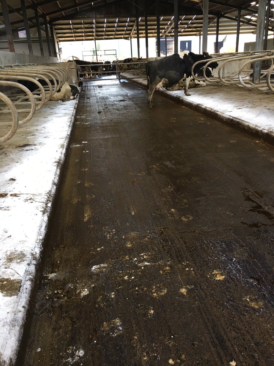 Lely Center Enniscorthy tweet media