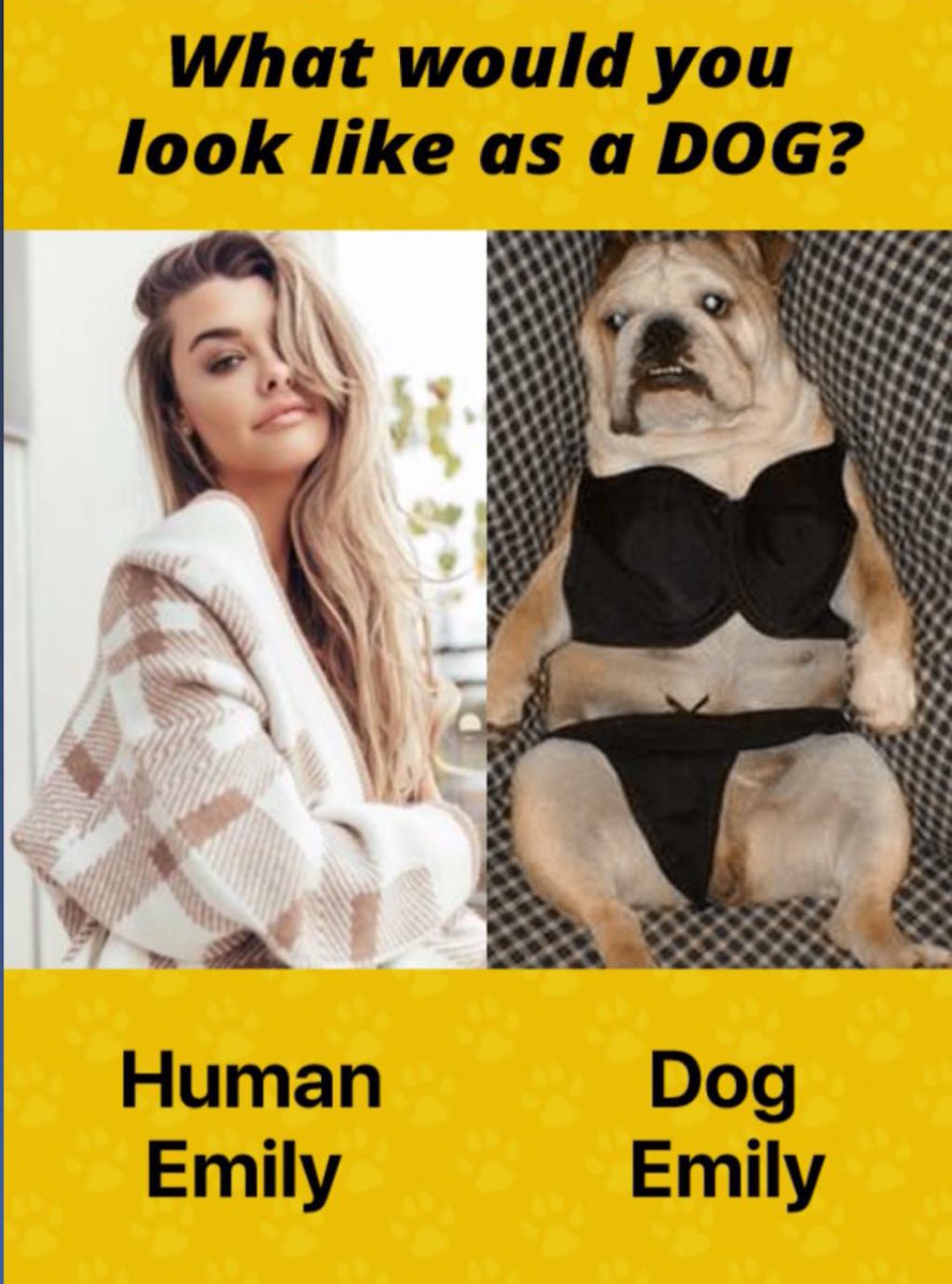 what would you look like as a dog facebook