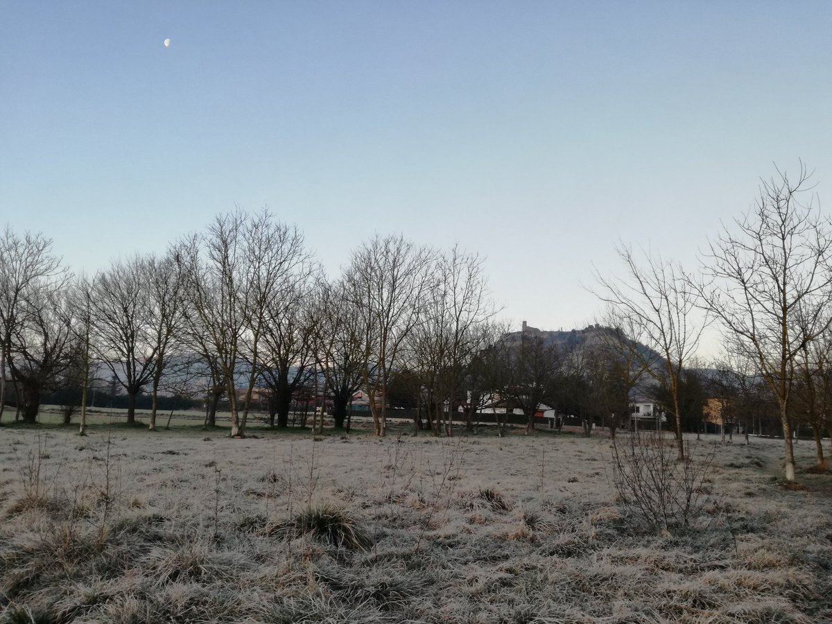 paquisoldado's tweet photo. #Boondia!! Seguim amb #celllis #gebrada a les #fondalades i T.3°C. #Tona #324eltemps @danidanius @nestor_meteo @rbartolisala @meteocat @SoniaPapell @esolerdelcoll @meteomauri @Monica_Usart @AlfredRPico @alcantara_alb @Cat_Meteo @SoldadoTonyi @javioru @rosa_tanti @TomasMolinaB https://t.co/3Yn7O3kNrc