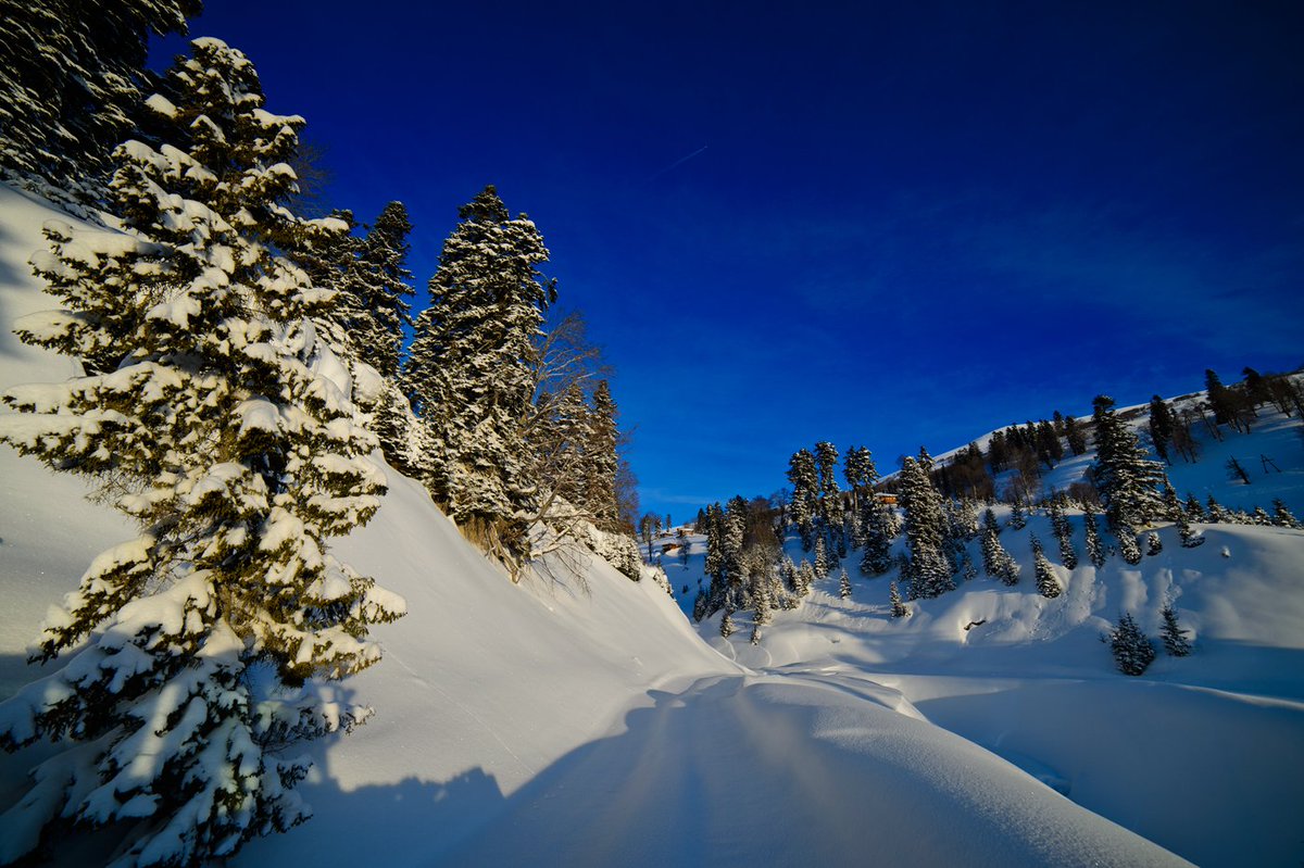 GEOmountains's tweet photo. ๐กโท๏ธYour endless winter is here with snow #adventures that take you to the best pow-pow #Caucasus has to offer. โ๏ธThe insanely fluffy bliss that #powder hounds find so addictive is found in stupefying abundance at #Goderdzi #ski #resort , #Adjara.๐ https://t.co/1gLx1KjRQE